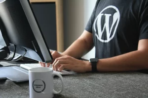 20 Incredible Benefits of WordPress Why You Should Choose WordPress